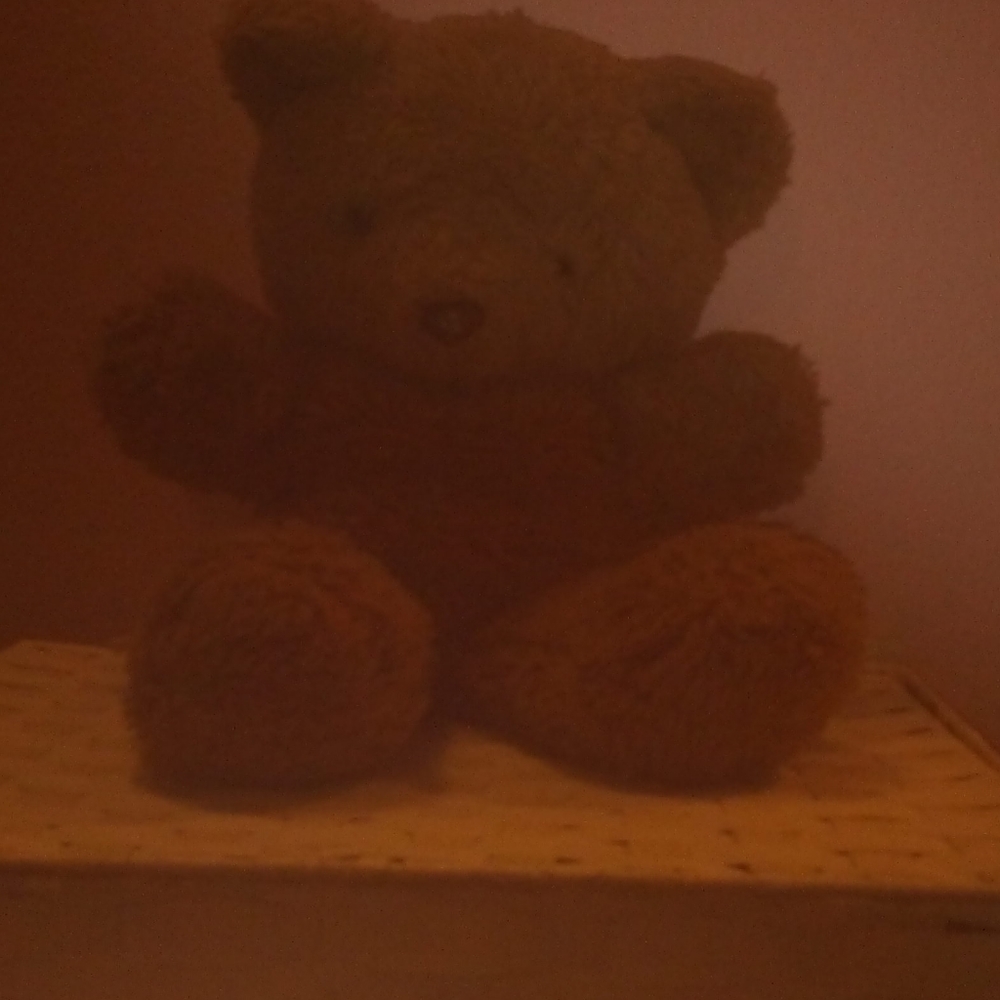 Teddy bear